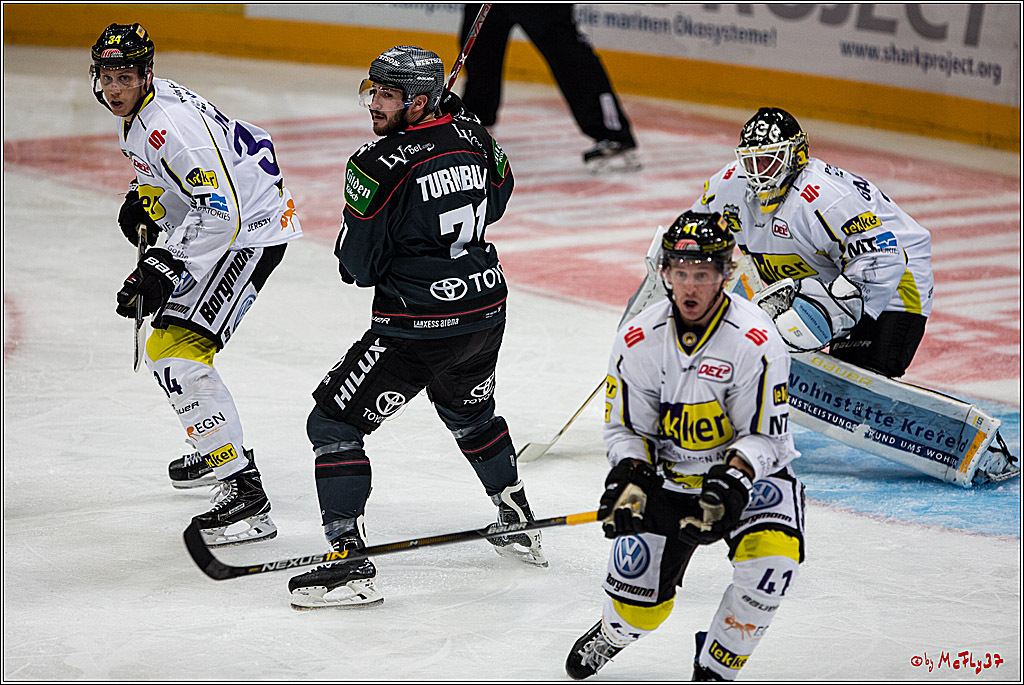 Koelner Haie - Krefeld Pinguine , 23.09.16(KW38)